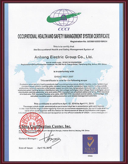 職業健康安全管理體系認證證書英文版